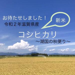 滋賀県産減農薬栽培　新米コシヒカリ　みずみずしくほんのり甘い湖