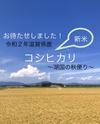 滋賀県産減農薬栽培　新米コシヒカリ　みずみずしくほんのり甘い湖