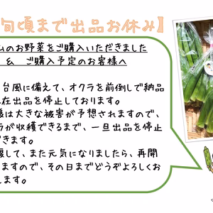 〈沖縄県産〉1㎏ シャキッ！とさわやかな食感の後にとろける丸オクラ