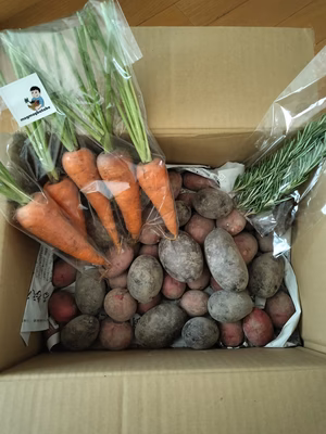 みんなの投稿の画像