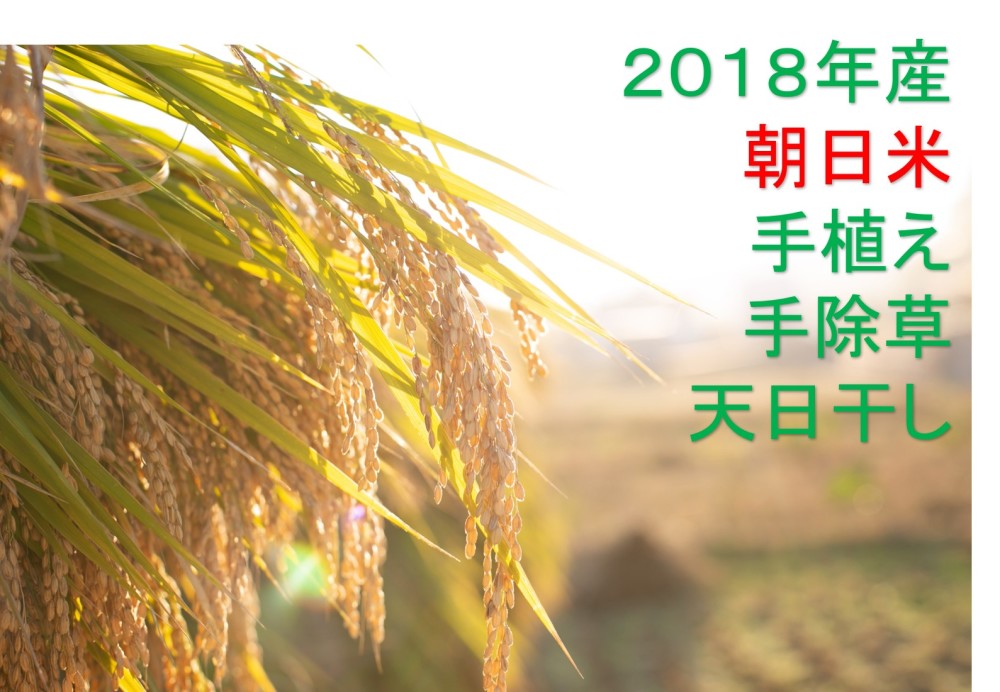 rinさん専用　朝日米25kg 天遊琳 てんゆうりん 秋の純大ブレンド 特別純米酒 日本酒
