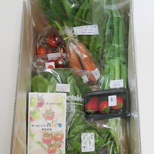 nico　旬の野菜セット　6~8種類