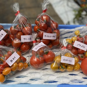 トマト詰め合わせセット