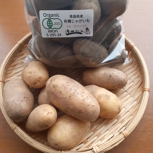 有機じゃがいも（メークイン）土付き