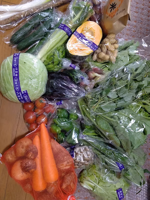 みんなの投稿の画像