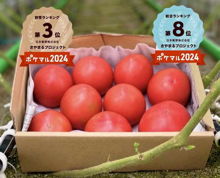 ずっしり❗️無邪気なありのままトマト｜トマトの商品詳細｜ポケット