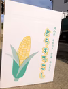 岡山県産　朝採れ　最高糖度19度越え　生で食べれる！あまいあま〜いとうもろこし