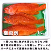 【宮崎県産】上品な味わいの朝どれ高級魚「アカハタ」