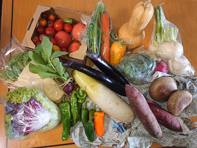 みんなの投稿の画像