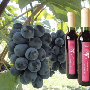 農家のこだわりぶどう酒　ナガノパープルワイン