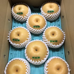 《感謝セール！！》新高梨　5キロ前後　早い者勝ち！