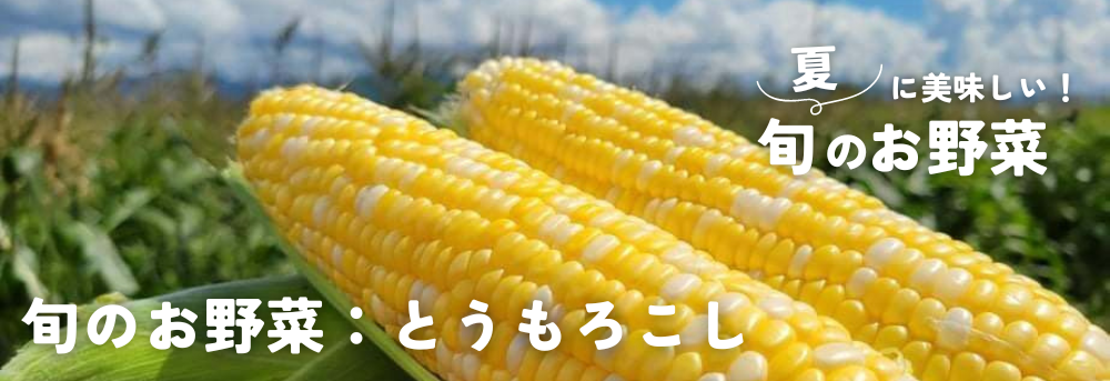 夏に旬の野菜 とうもろこし