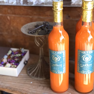 濃厚にんじんジュース　THE CARROT 500ml