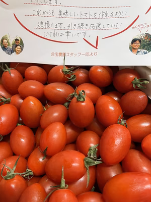 みんなの投稿の画像