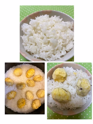 みんなの投稿の画像