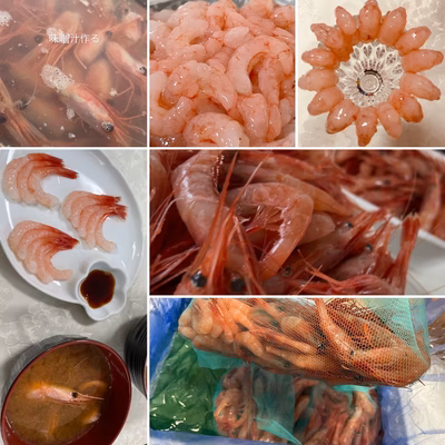 みんなの投稿の画像