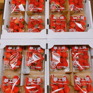 中まで紅い紅ほっぺ小粒加工用1キロ