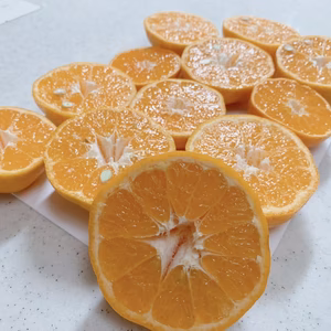 鹿児島県産　「わっぜうまかぁポンカン」箱込み5kg