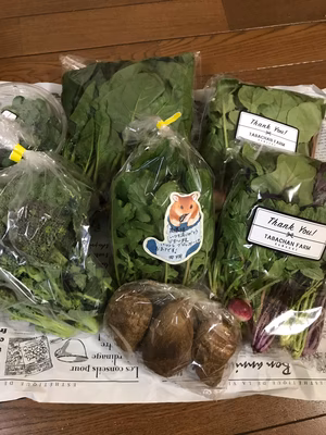 みんなの投稿の画像