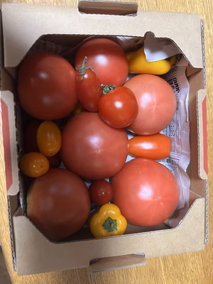 みんなの投稿の画像