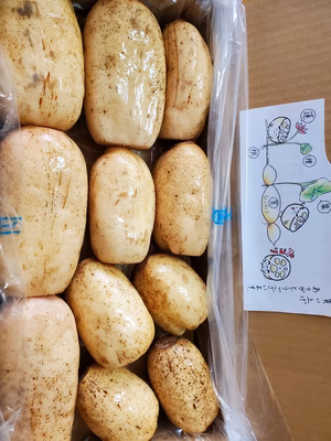 みんなの投稿の画像