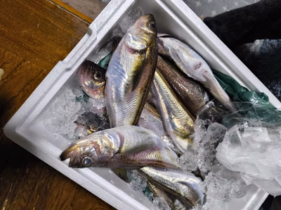 みんなの投稿の画像