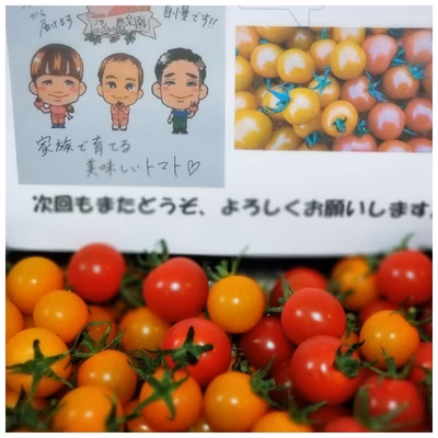 みんなの投稿の画像