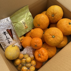 【ちゅぎ様専用】斉藤茶園の柑橘箱とお茶