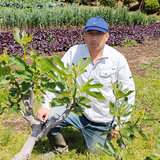 石田敏裕 | ジョイファーム