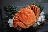 【堅】初物　三陸産　毛蟹　1kg  （4〜5杯入り）