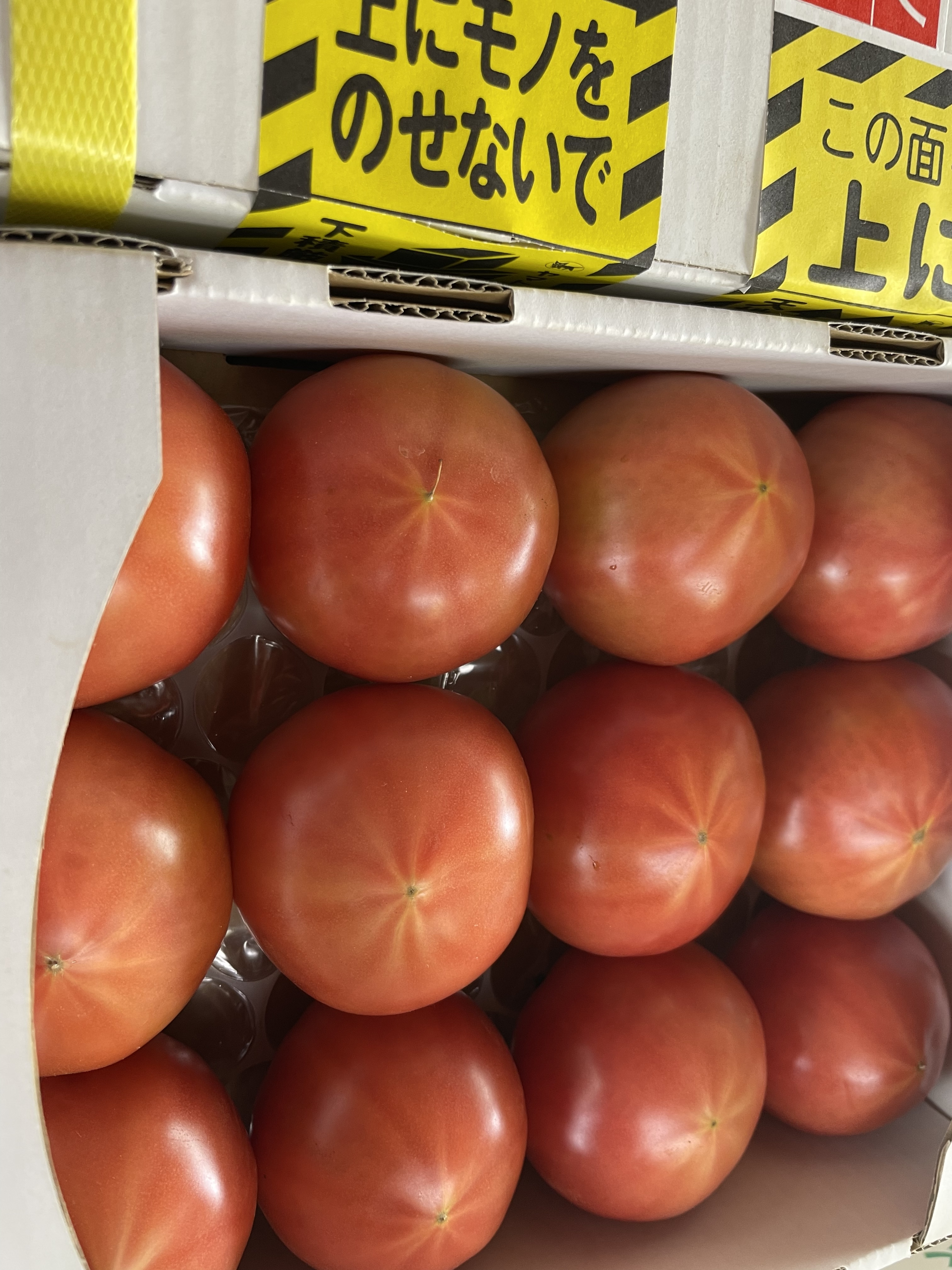 訳あり良品　ラスト1セット　千葉県産　桃太郎トマト　約8kg