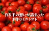 【数量限定】マイクロトマト