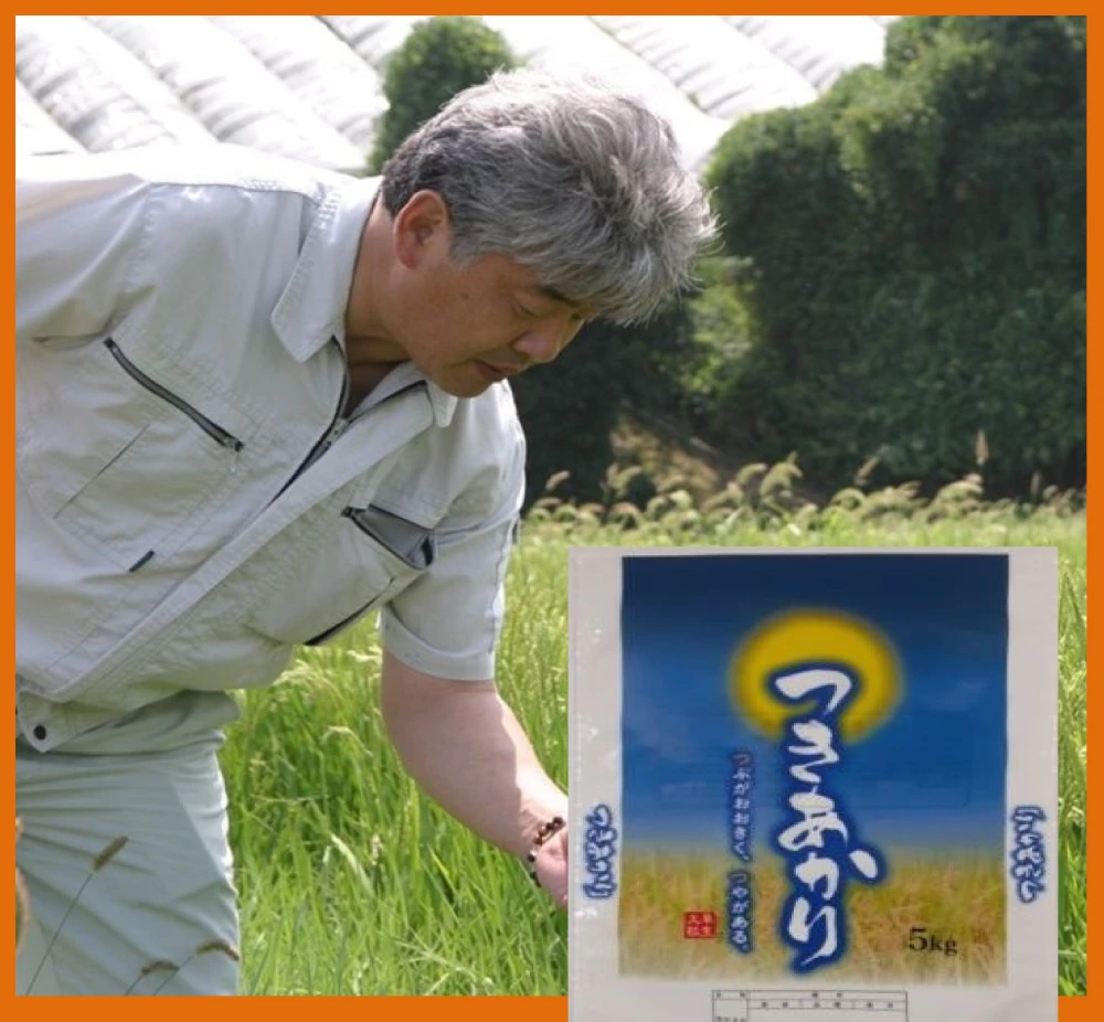 「精米」４品種食べ比べセット　山形県高畠から発送