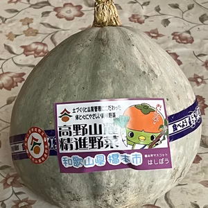 高野山麓精進野菜・南瓜(雪化粧)