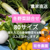 旬の野菜セット！ 80サイズの箱に8種類以上のお野菜詰め合わせ