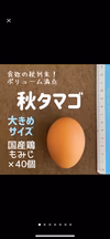 小さいだけの格外品‼　スモールサイズの白タマゴ×130個(^^)/