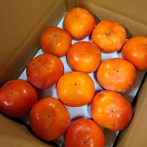 国城観光農園の富有柿。送料無料。(訳あり品)約7.5kg