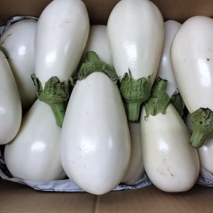 白トロなす4ｋｇ★パチャママ農園　白なす