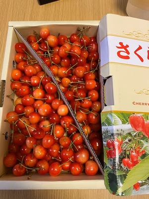 みんなの投稿の画像