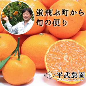 ~蛍飛ぶ町から旬の便り~　有田みかん　M3Kg～　平武農園