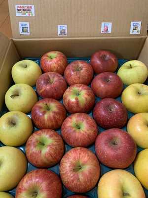 みんなの投稿の画像