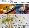 ソロキャンプ用ハーブセット！簡単ハーブ料理用とハーブティのセット！【CONSE】