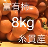 予約販売⭐️富有柿8kg詰め合わせ‼️産地直送