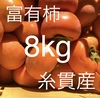 予約販売⭐️富有柿8kg詰め合わせ‼️産地直送