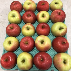 『サンふじ』と『名月』の食べくらべ　甘×甘セット5キロ