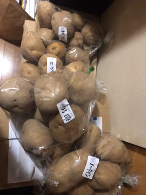 みんなの投稿の画像