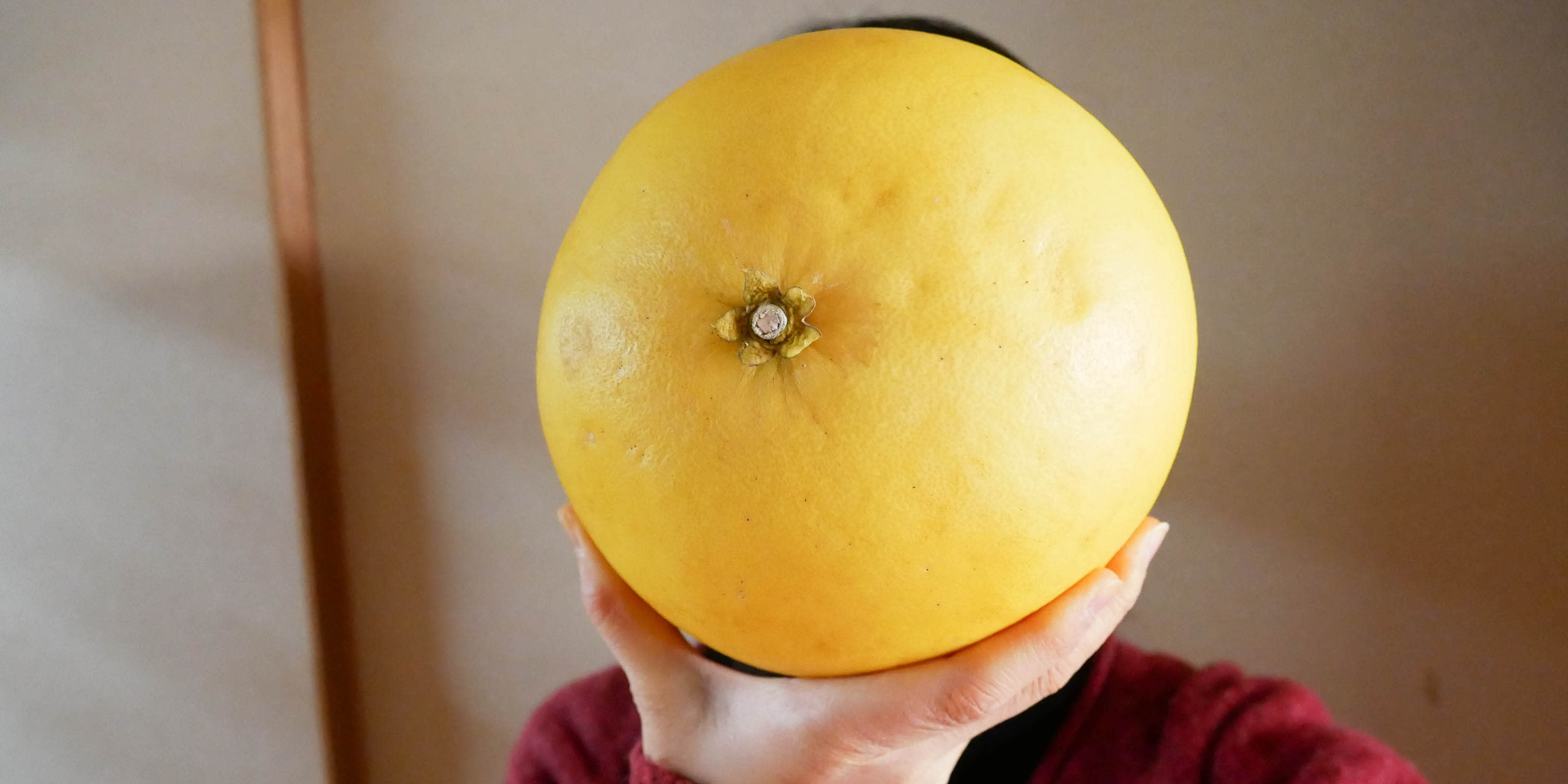 巨大な柑橘 ばんぺいゆ と チャンドラポメロ を買って観察して皮まで食べてみたよ 農家漁師から産地直送の通販 ポケットマルシェ