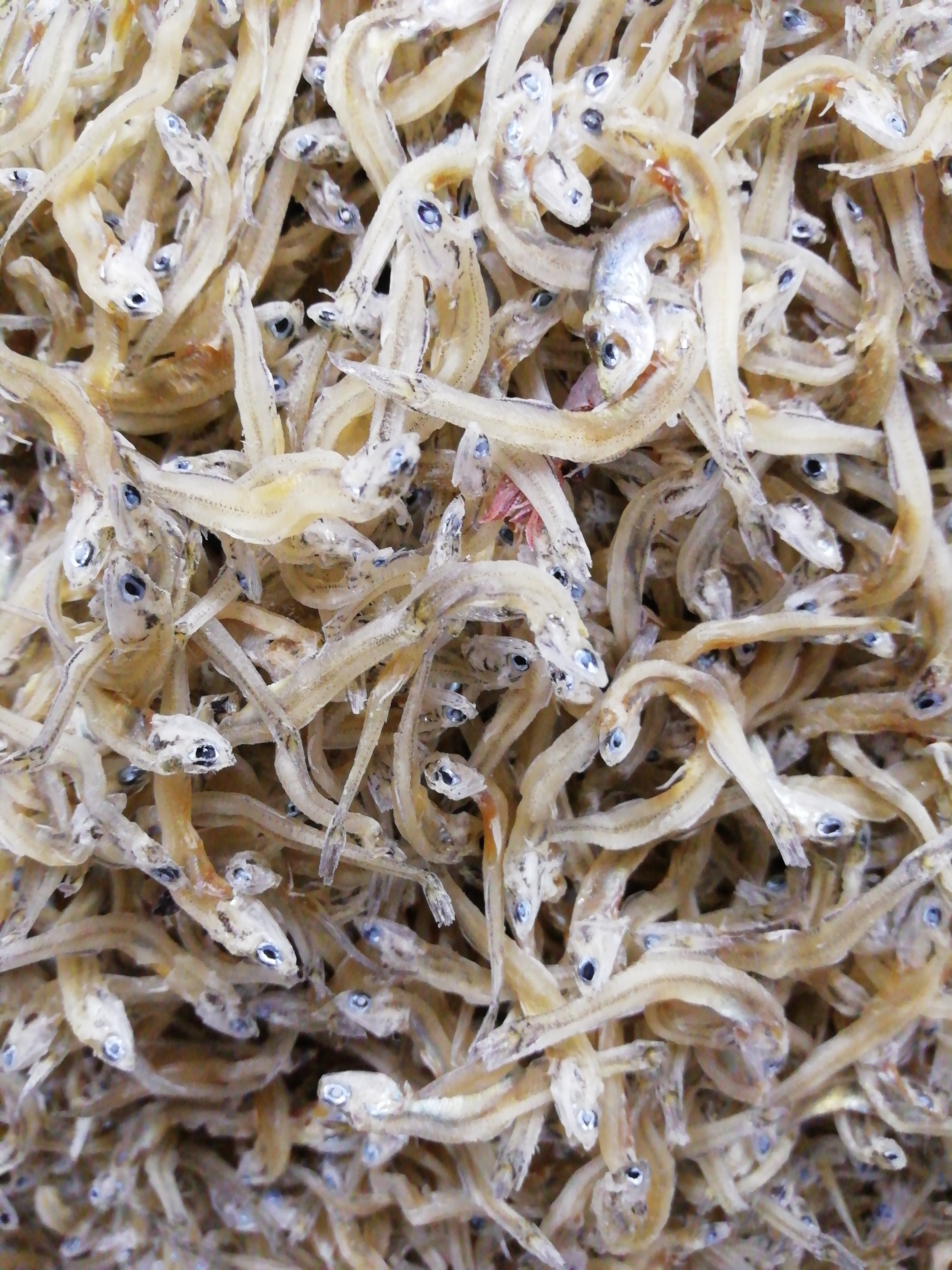 祝 初出店特別価格 家庭用ちりめん大混ざりあり 農家漁師から産地直送の通販 ポケットマルシェ