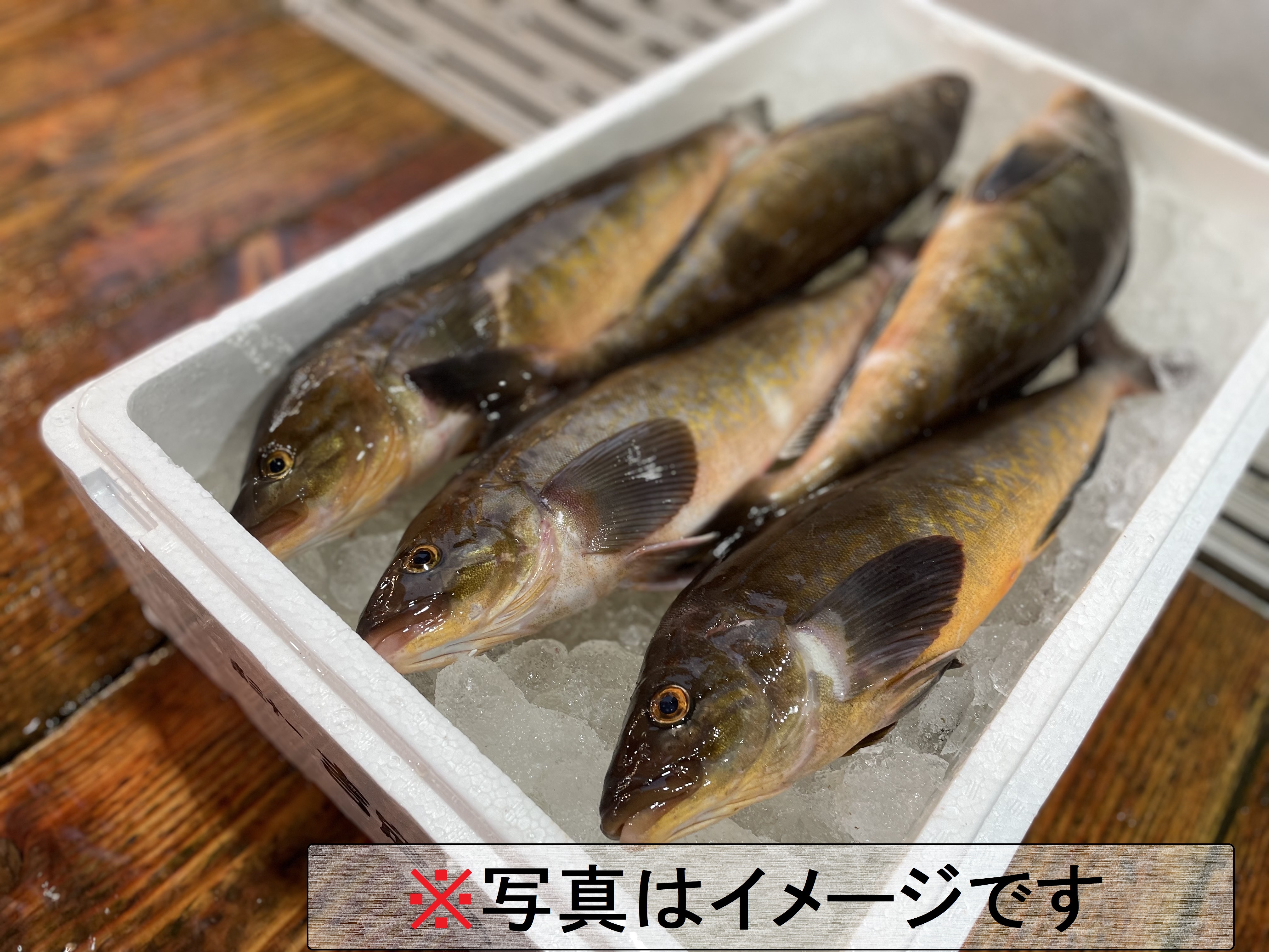 知床羅臼直送】ホッケ (真ホッケ) 鮮魚 フライ、煮付け、ムニエル