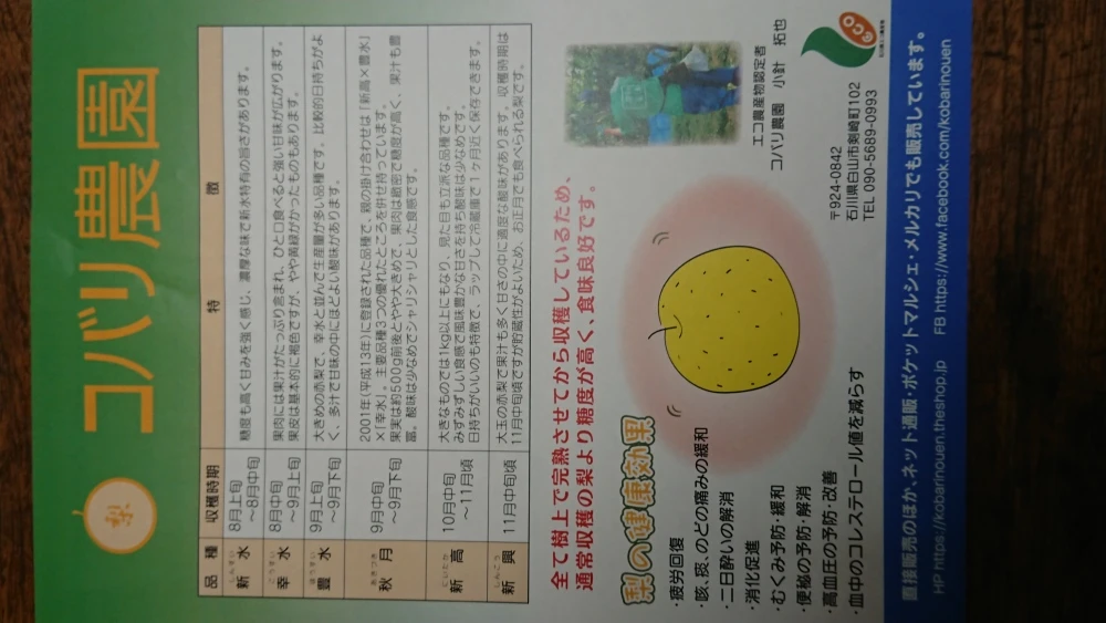 完熟　豊水梨　5キロ箱（6～14玉入）